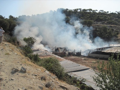 Κύμη: Βοσκός αποπειράθηκε να σβήσει τη φωτιά και κάηκε